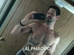 ALPHADOG