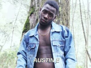 AUSTIN_E
