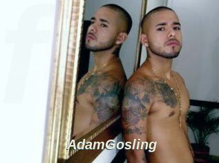 AdamGosling