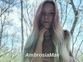 AmbrosiaMae