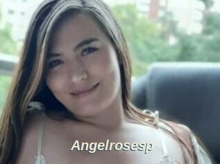 Angelrosesp