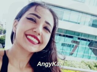 AngyKat