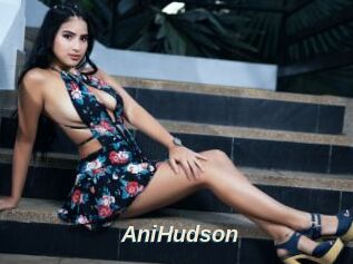 AniHudson