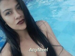 AnyMeel