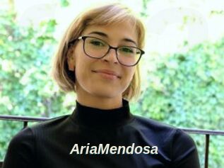 AriaMendosa