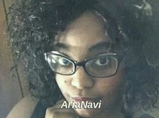 AriaNavi