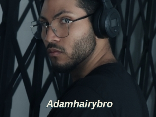 Adamhairybro