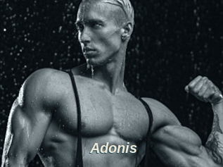 Adonis_
