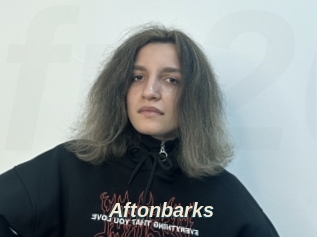 Aftonbarks
