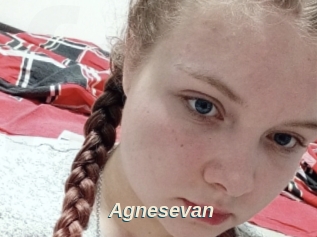 Agnesevan