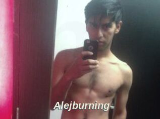 Alejburning