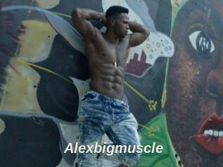 Alexbigmuscle