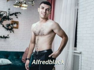Alfredblack