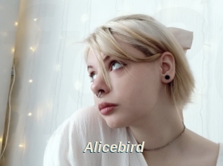 Alicebird