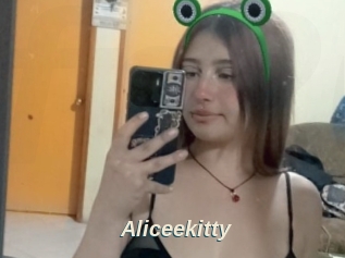 Aliceekitty