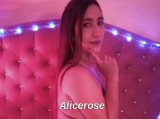 Alicerose