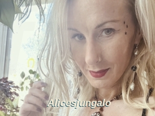 Alicesjungalo
