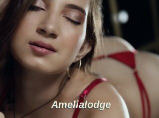 Amelialodge