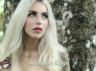 Ameliebriidge