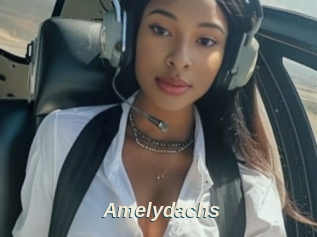 Amelydachs