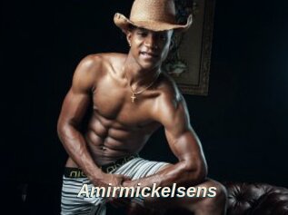 Amirmickelsens