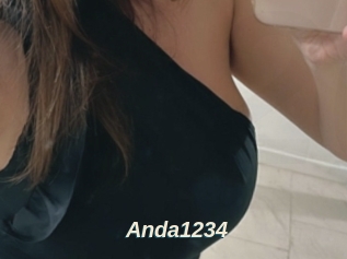 Anda1234