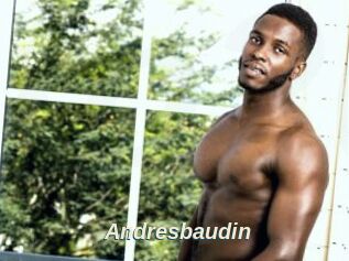 Andresbaudin