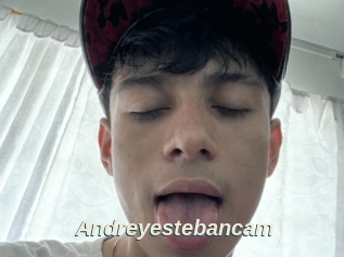 Andreyestebancam