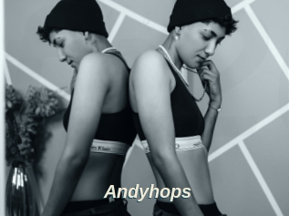 Andyhops