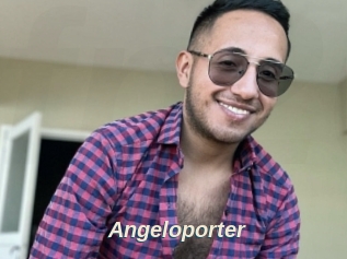 Angeloporter