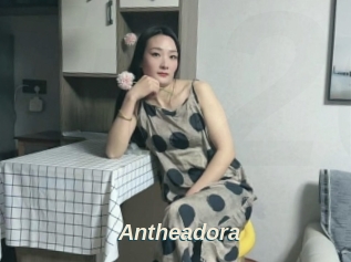 Antheadora
