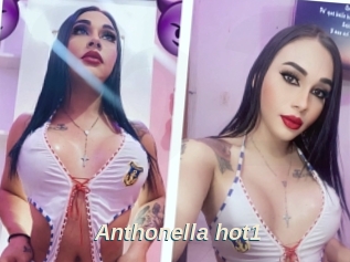 Anthonella_hot1