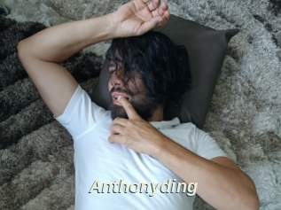 Anthonyding