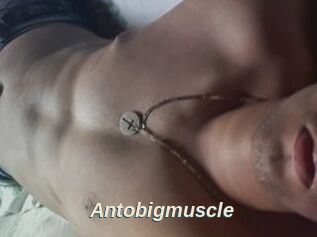 Antobigmuscle