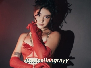 Antonellaagrayy