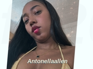 Antonellaallen