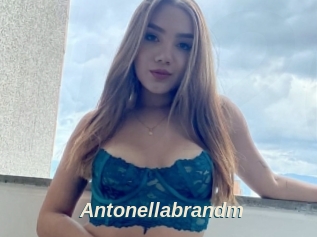 Antonellabrandm