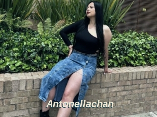 Antonellachan