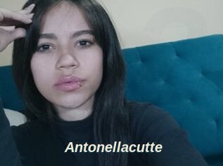 Antonellacutte