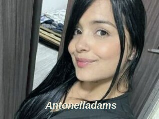 Antonelladams