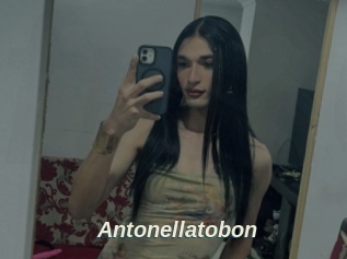 Antonellatobon