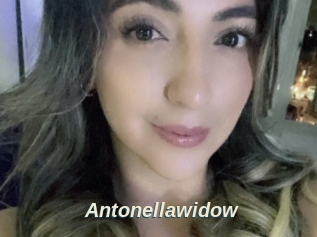 Antonellawidow