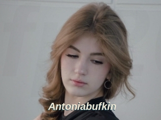 Antoniabufkin