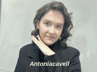 Antoniacavell