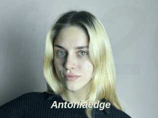Antoniaedge