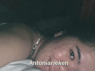 Antoniarieken