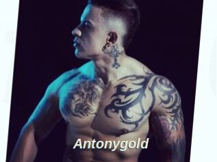 Antonygold