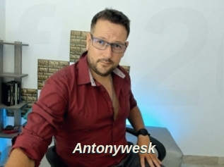 Antonywesk