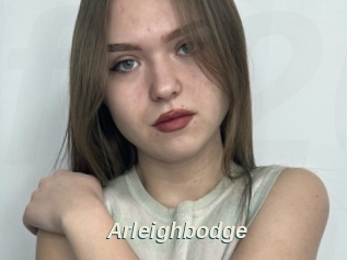 Arleighbodge