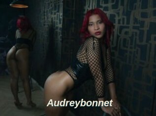 Audreybonnet